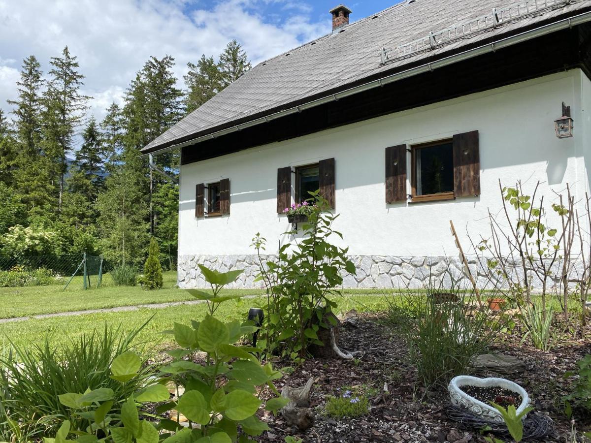 Chalet Am Weissenbach Hinterstoder Esterno foto